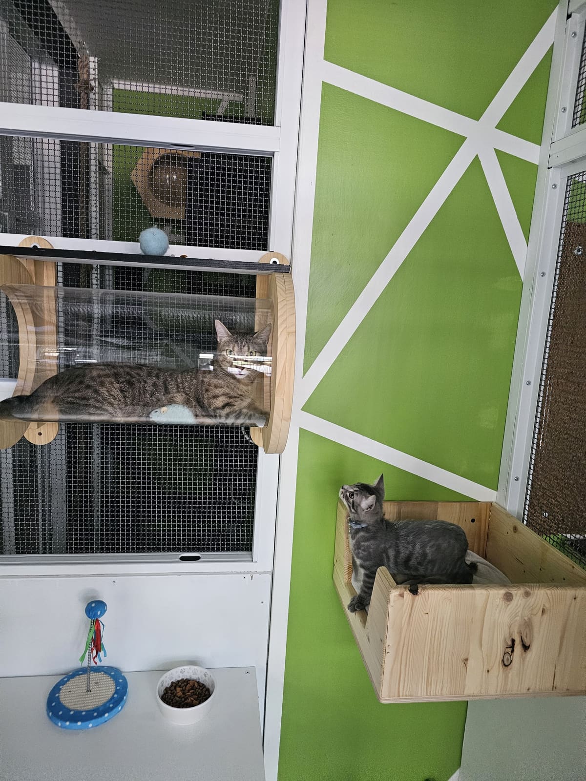 Luna & Romeo, ospite della pensione
