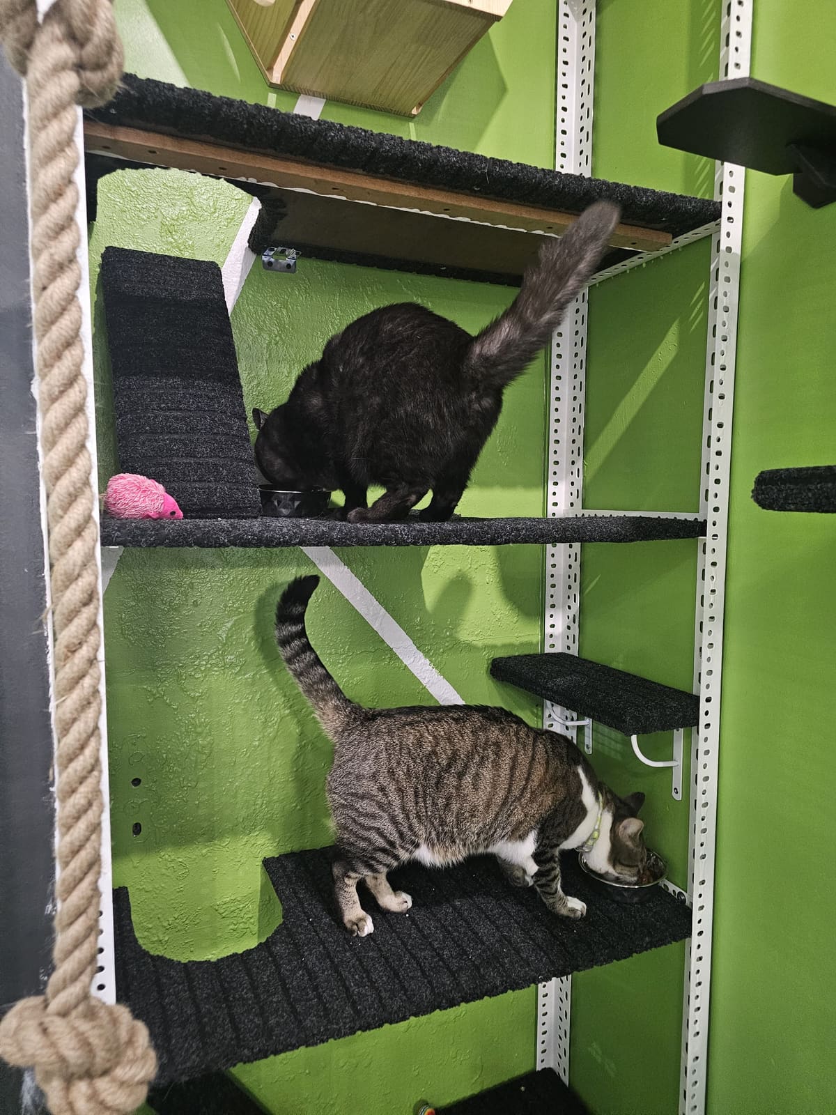 Piccolo & Miki, ospite della pensione