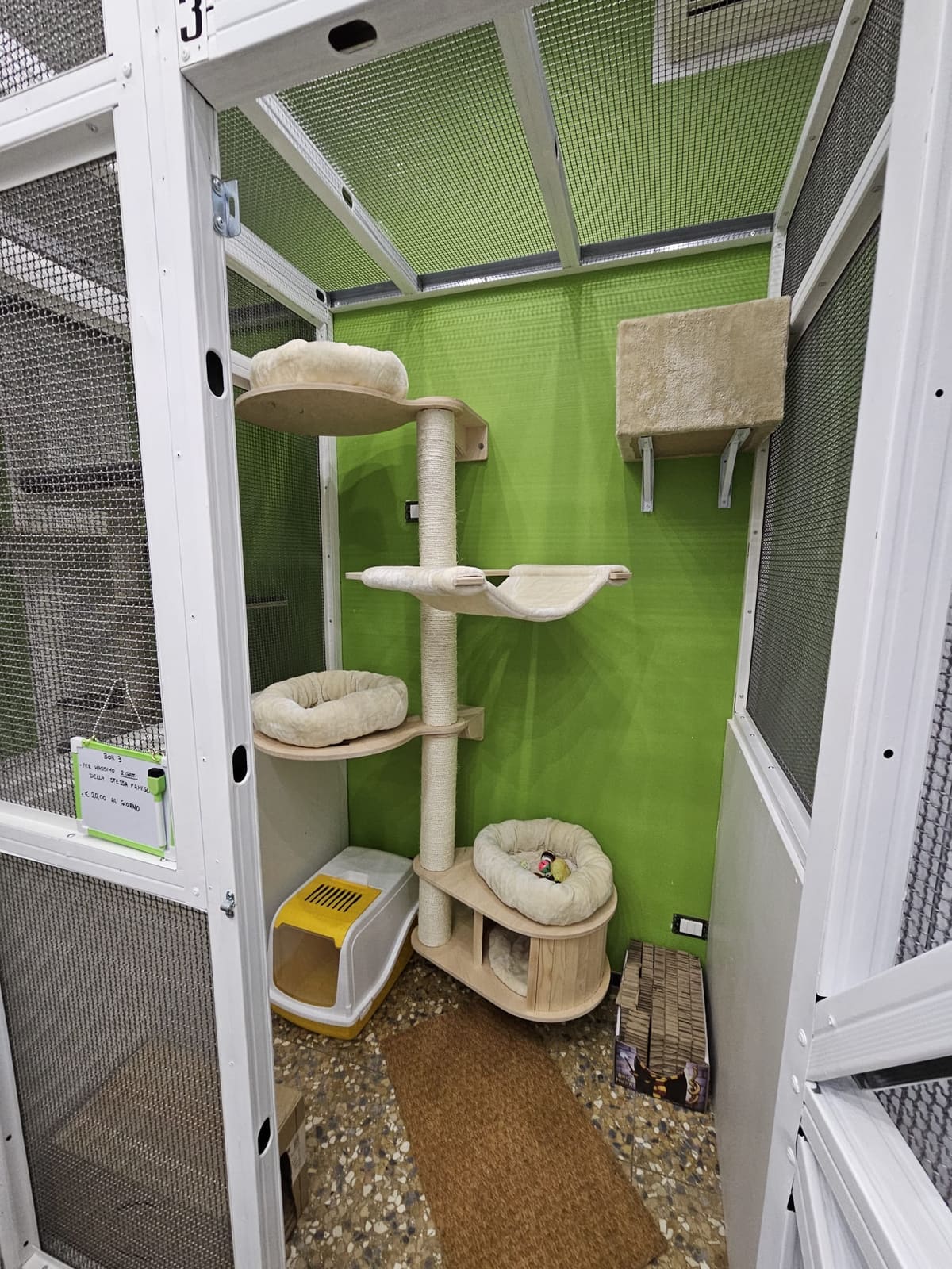 Interno di un box: tiragraffi a colonna con cuccette e amaca, mensola imbottita a parete e lettiera