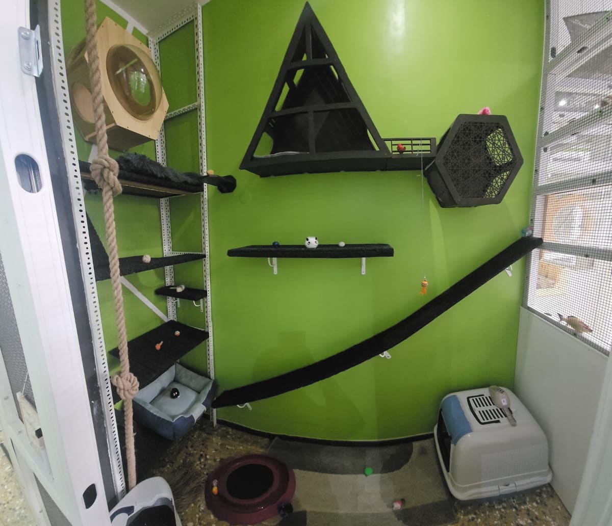 Box con mensole nere a parete, cuccia a triangolo, passerella inclinata, corda da arrampicata e lettiera