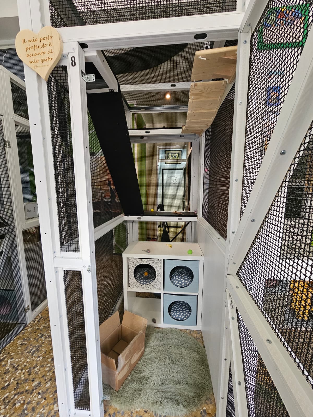 Il box 8 con la porta in rete aperta: passerella in legno in alto, mobile a cubi e tappeto morbido